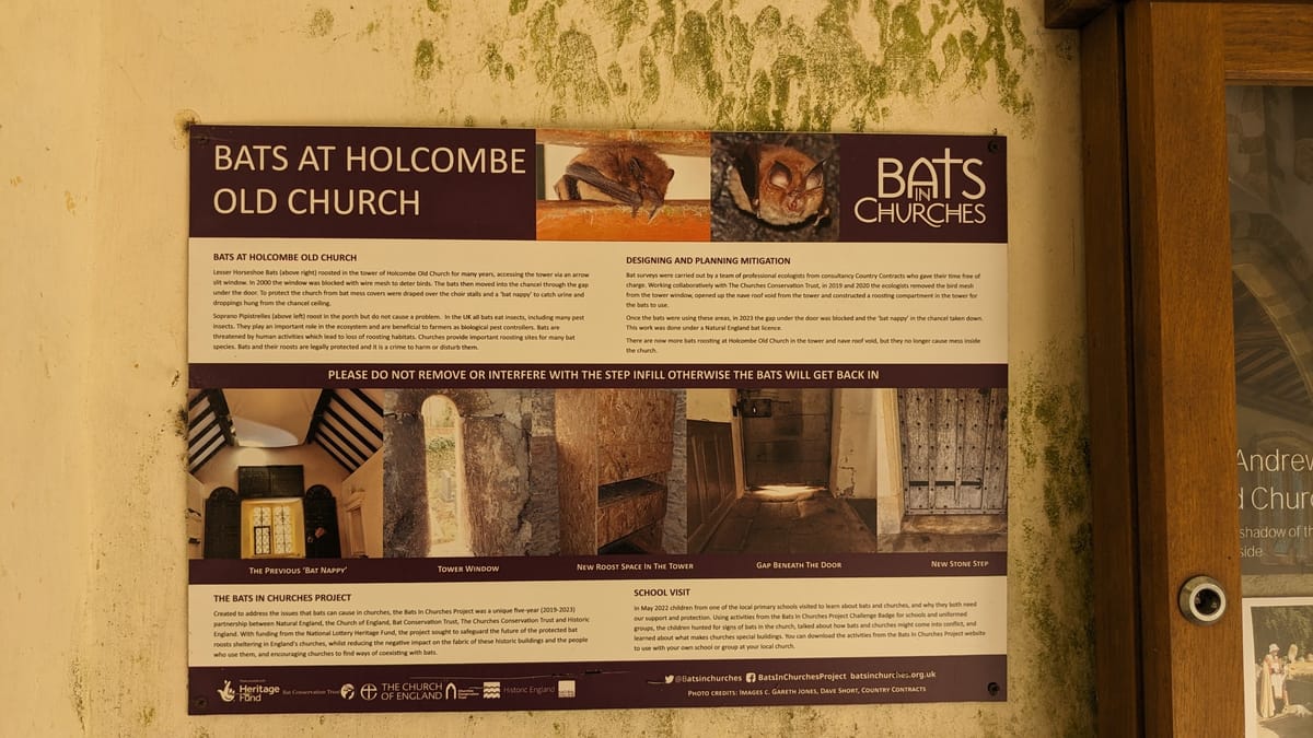 All about The Bats