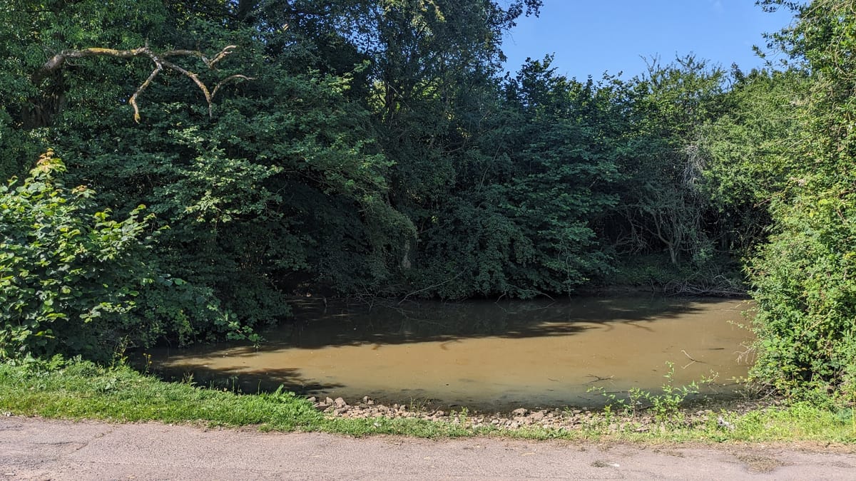 Once a Farm Pond...