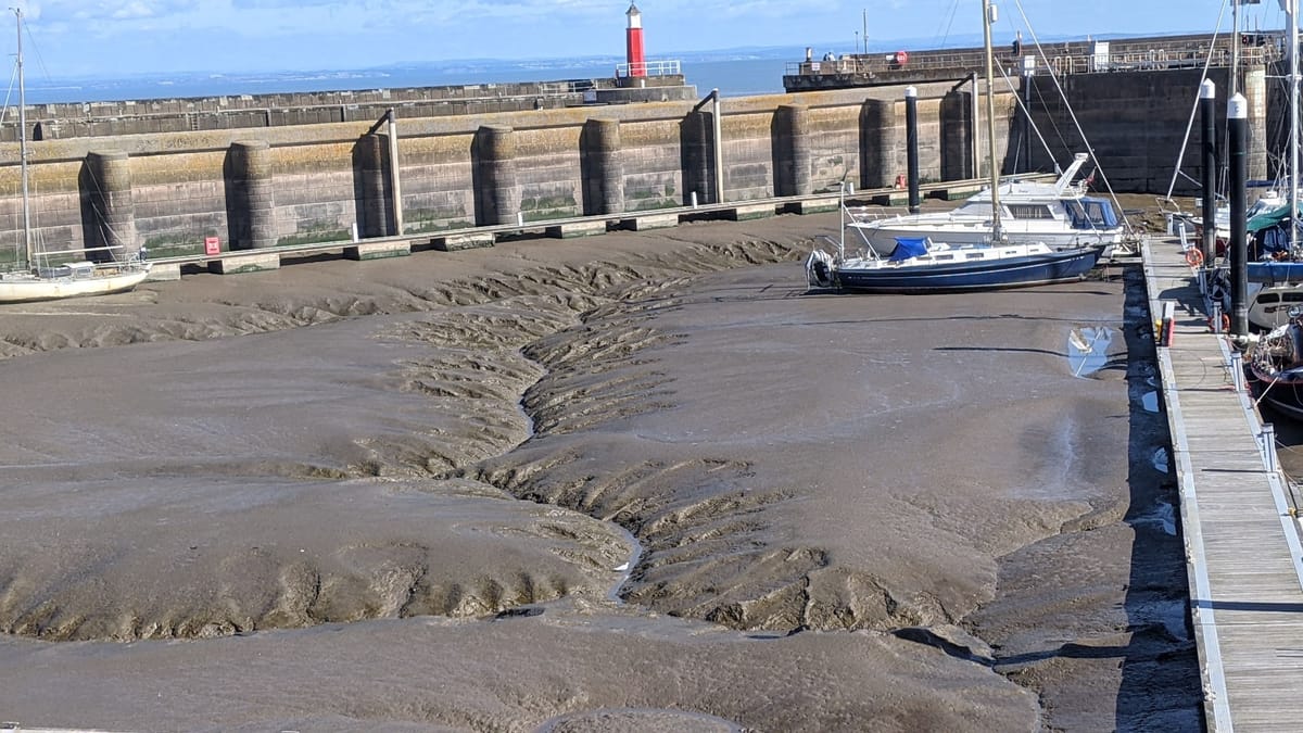 Severn Mud